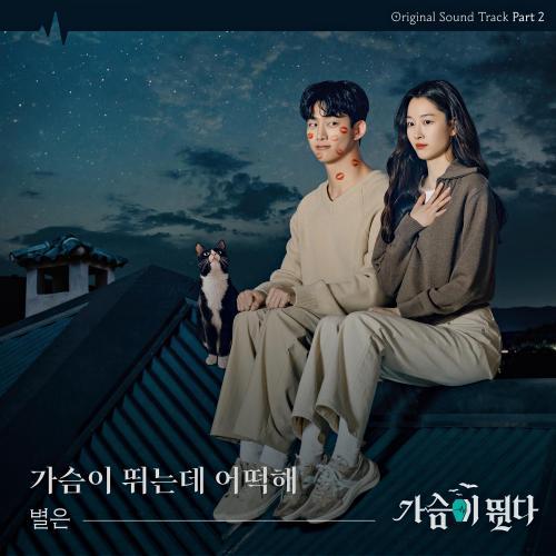 가슴이 뛴다 OST Part.2