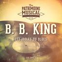 Les Idoles Du Blues: B.B. King, Vol. 1专辑