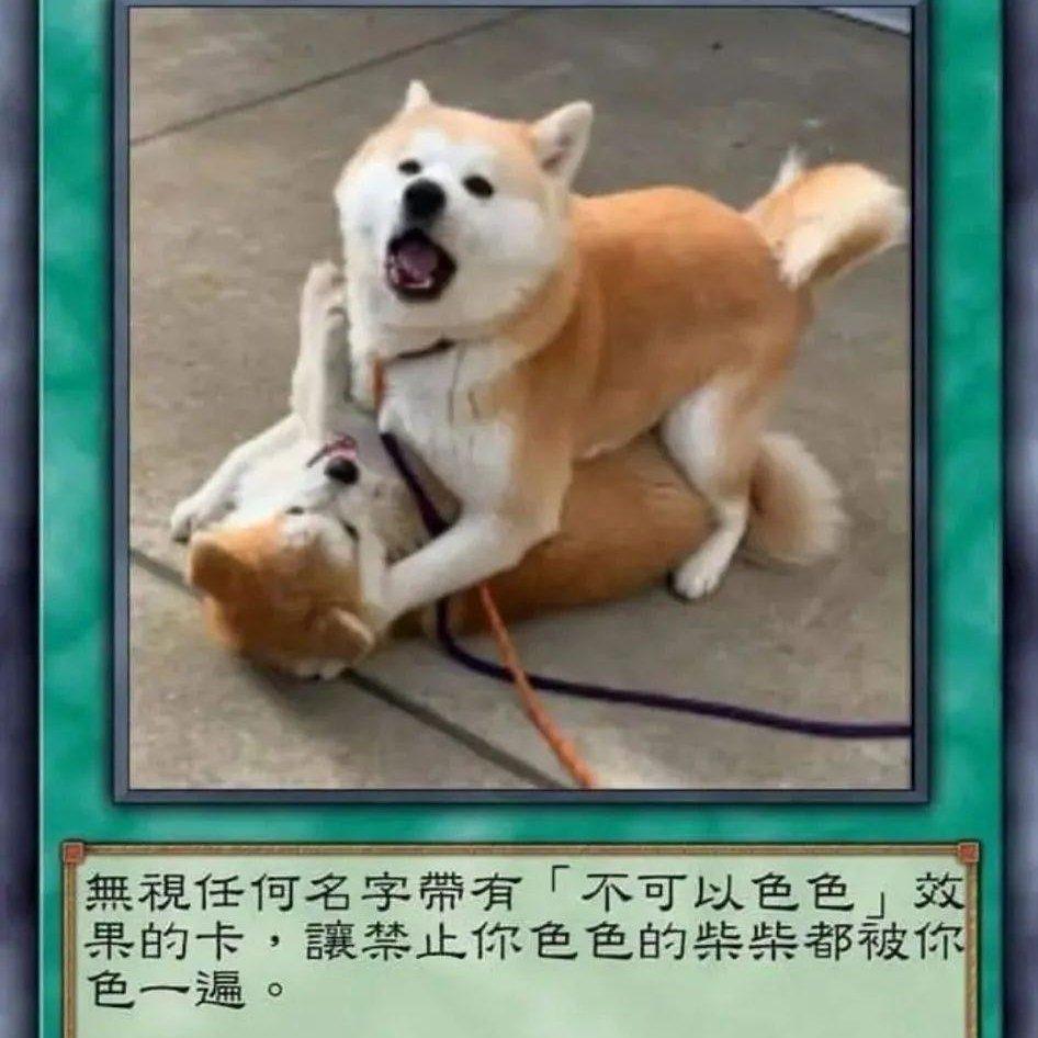 刷网易云10级一分钟快歌 | 在线播放 | 网易云音乐