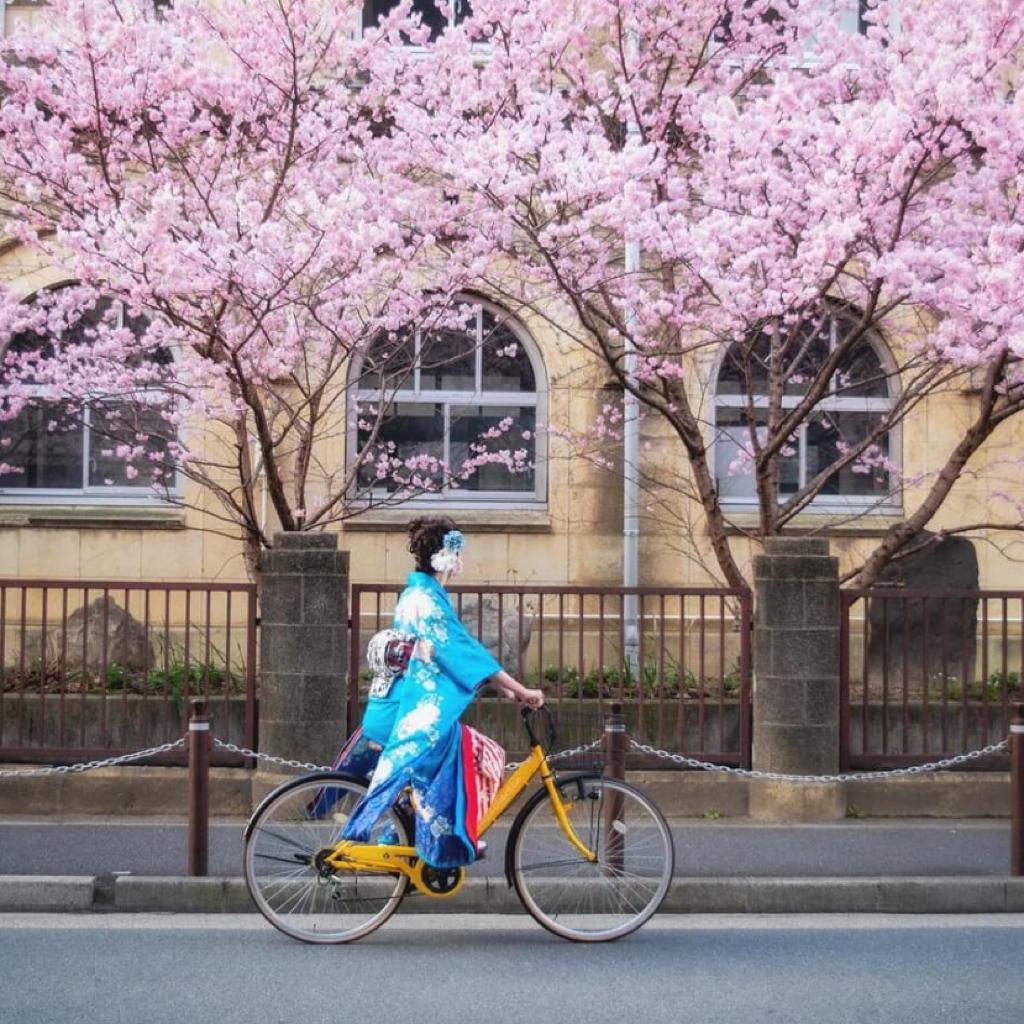 「昭和风/适合恋爱」樱花味的初恋已来信！