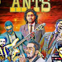 Ants