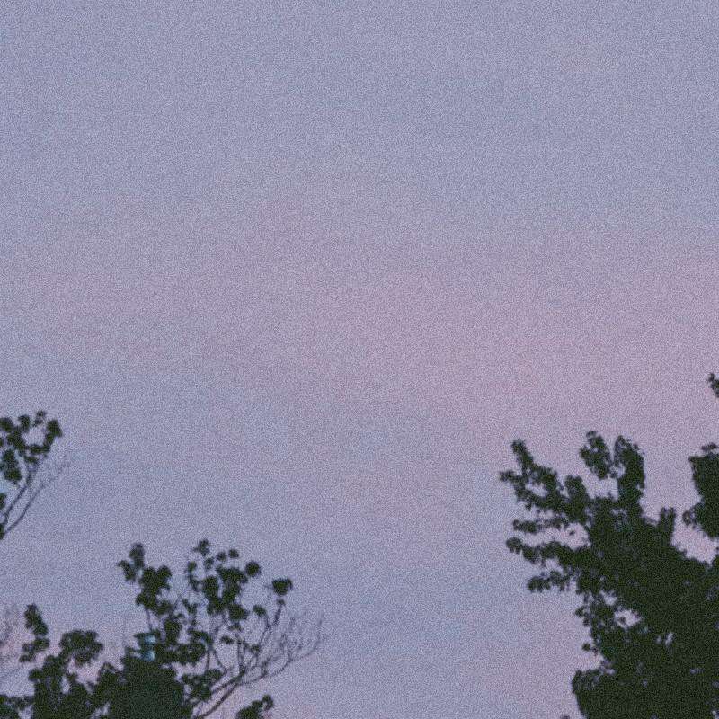 思念媛媛的一天