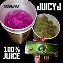 100% Juice