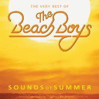 Darlin' - The Beach Boys (SC karaoke) 带和声伴奏