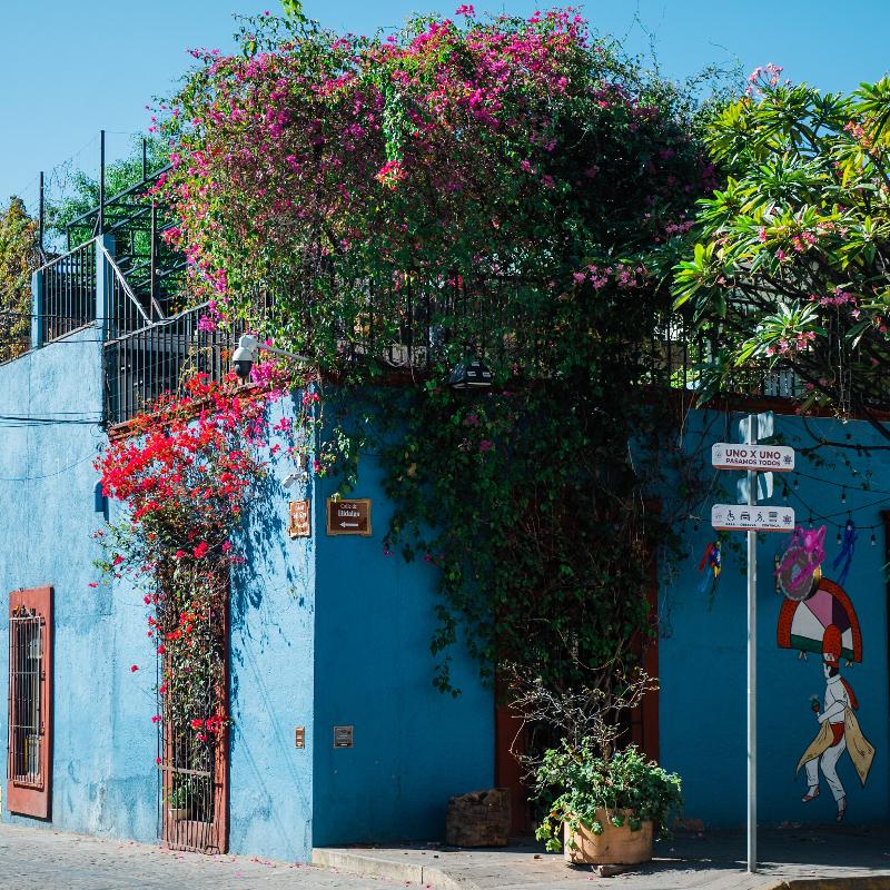 法式风情 | 感受浪漫之都的韵律