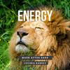 Mark After Dark - Energy