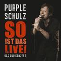 So Ist Das Live Das Duo Konzert