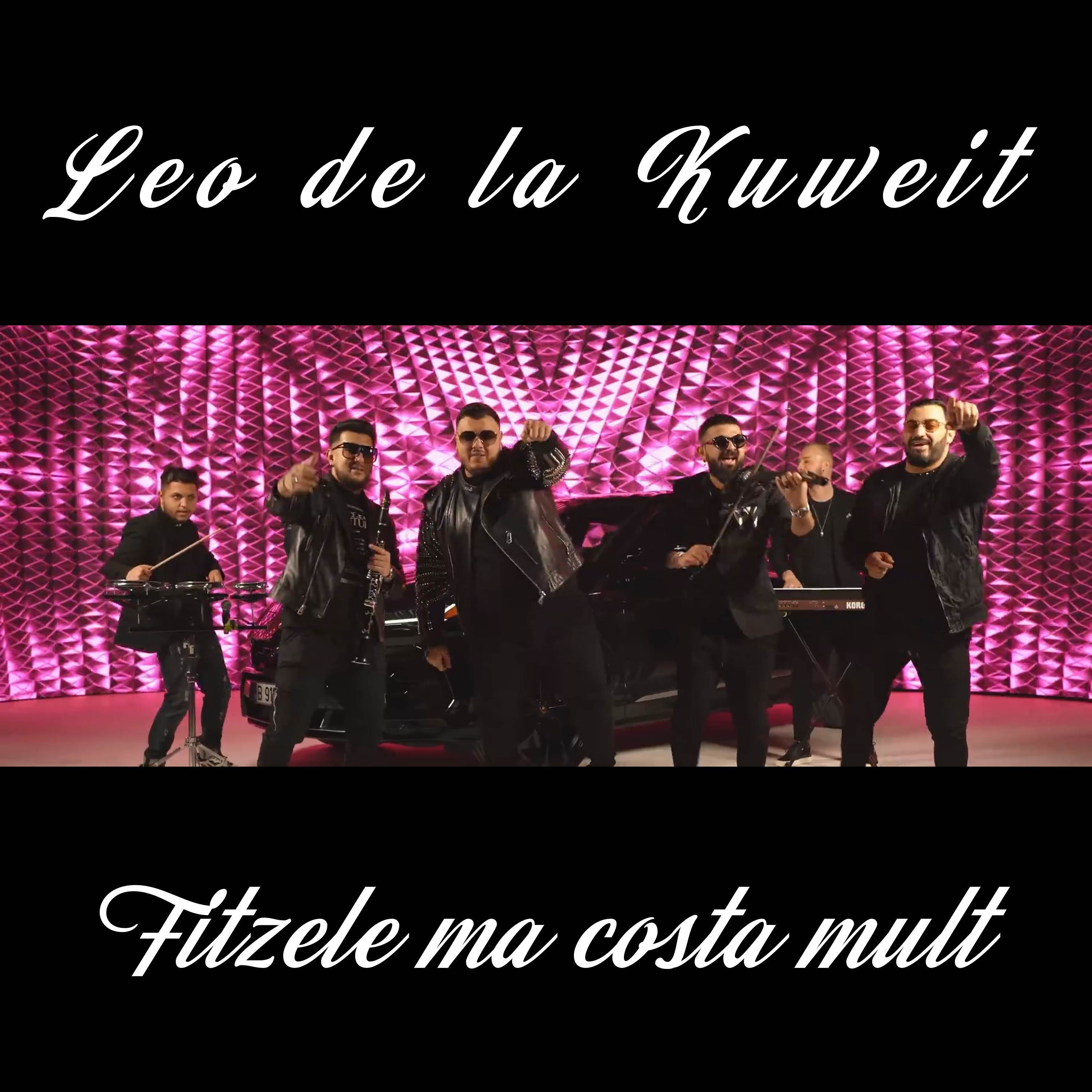 Fitzele ma costa mult