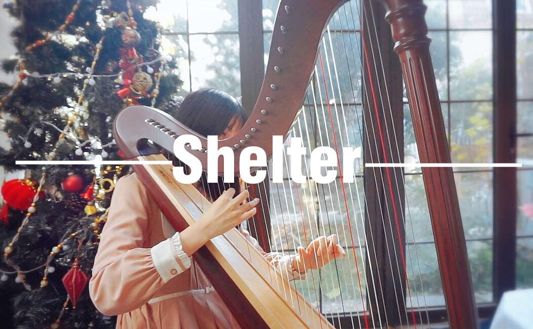 Shelter专辑