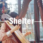 Shelter