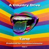 Tane - A Country Drive