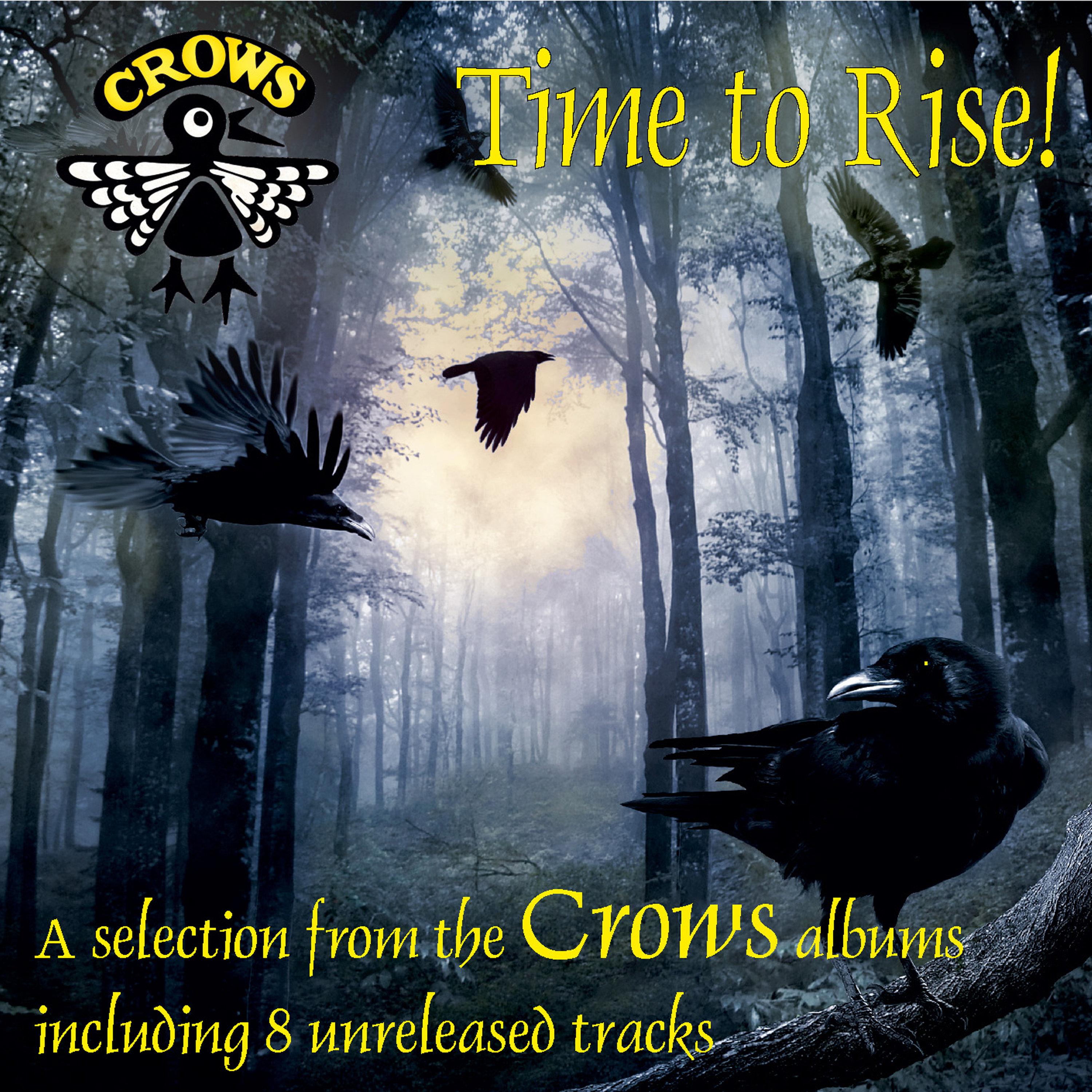 Time to Rise
