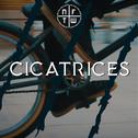 Cicatrices专辑