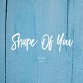 Shape Of You（JACO Remix）