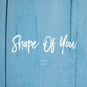 Shape Of You（JACO Remix）专辑