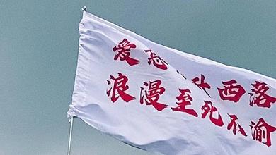 秦不寻