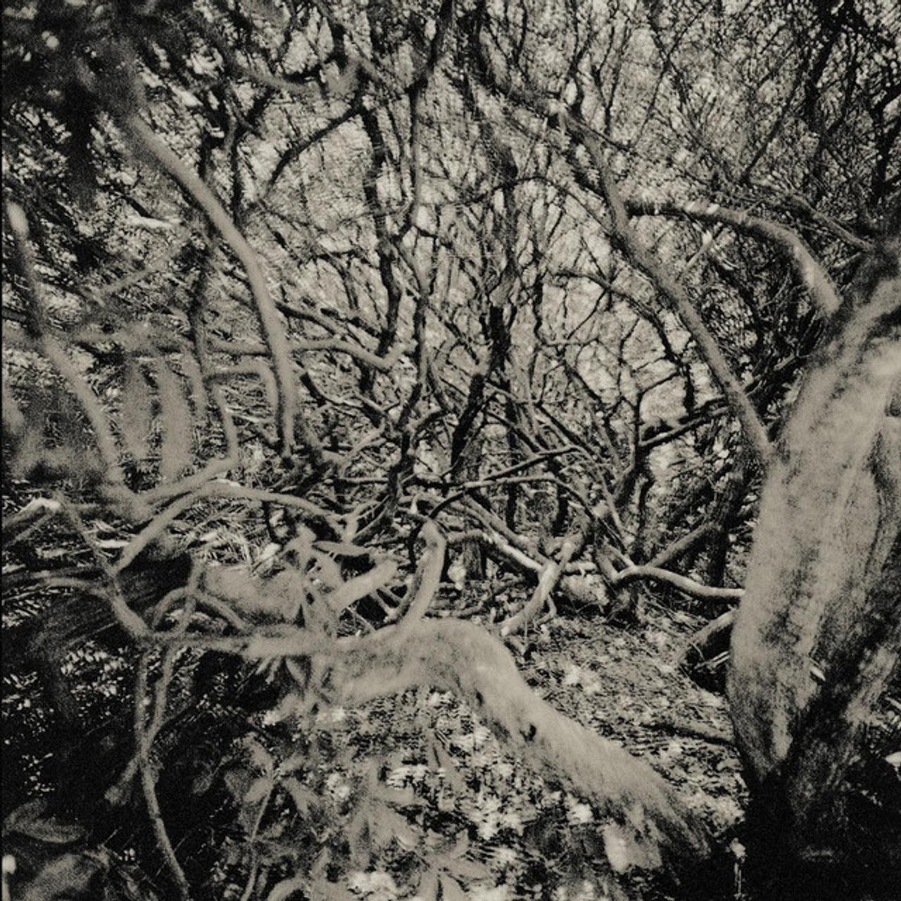 Duo Pour 454 Chordes