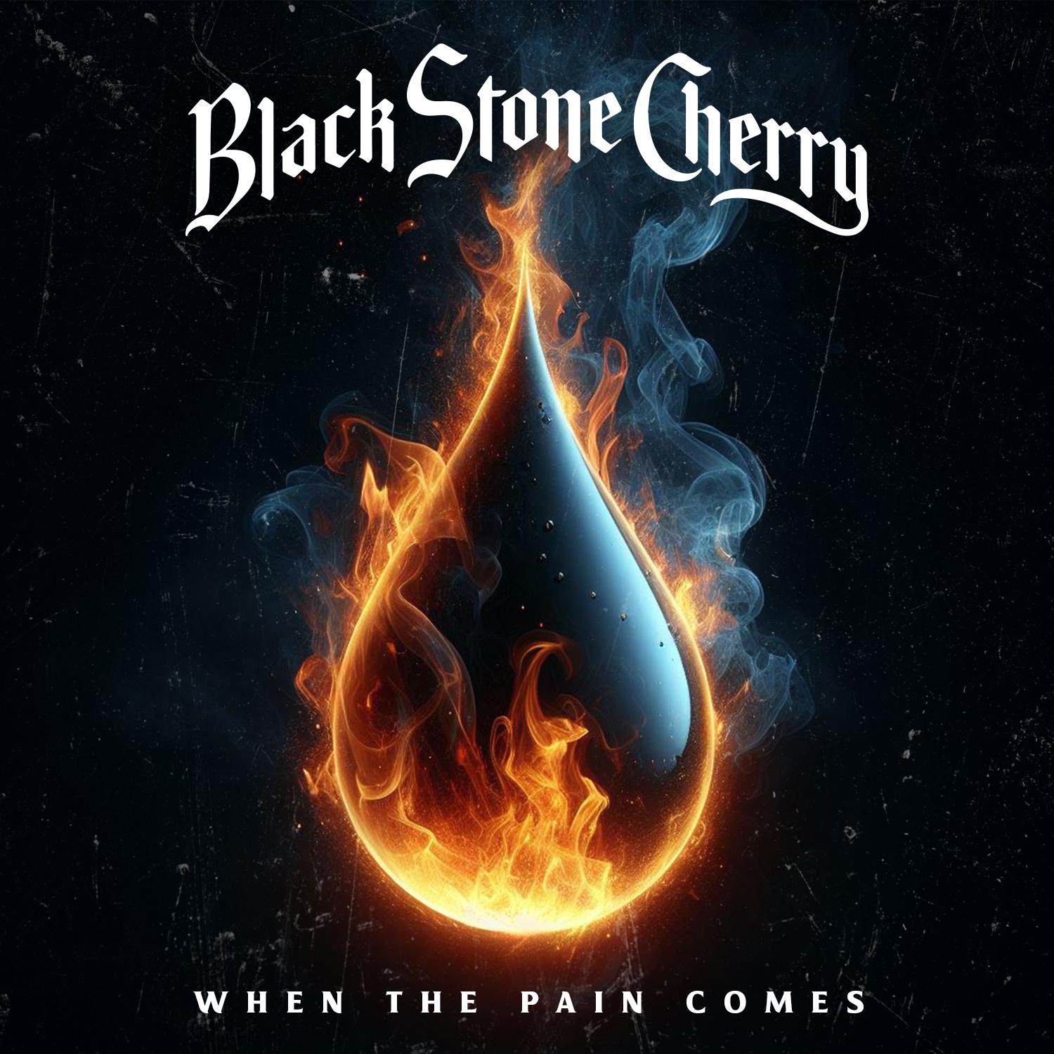 Black Stone Cherry - When The Pain Comes