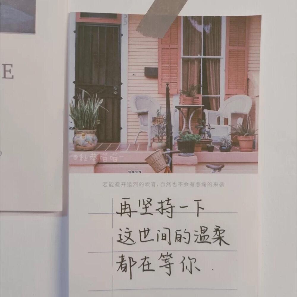 快乐的小青蛙