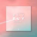 Fly