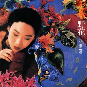 林忆莲 - 再生恋(Remix)(93年演唱会版)