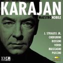 Herbert von Karajan Vol. 4专辑