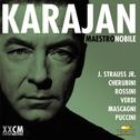 Herbert von Karajan Vol. 4