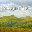 80 Inspired Mind