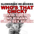 Who's That Chick? (David Guetta & Rihanna Slow Sex Re-Mix)