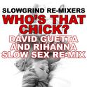 Who's That Chick? (David Guetta & Rihanna Slow Sex Re-Mix)专辑