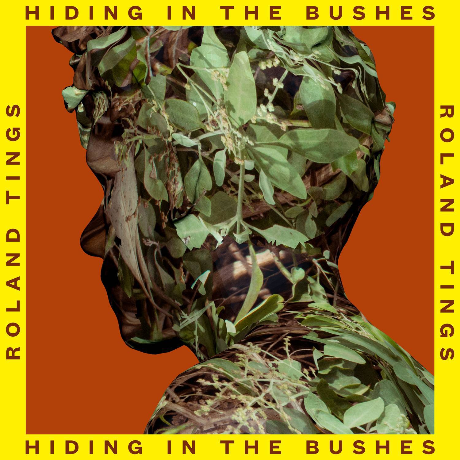 Hiding in the Bushes专辑