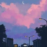 阿丸学长