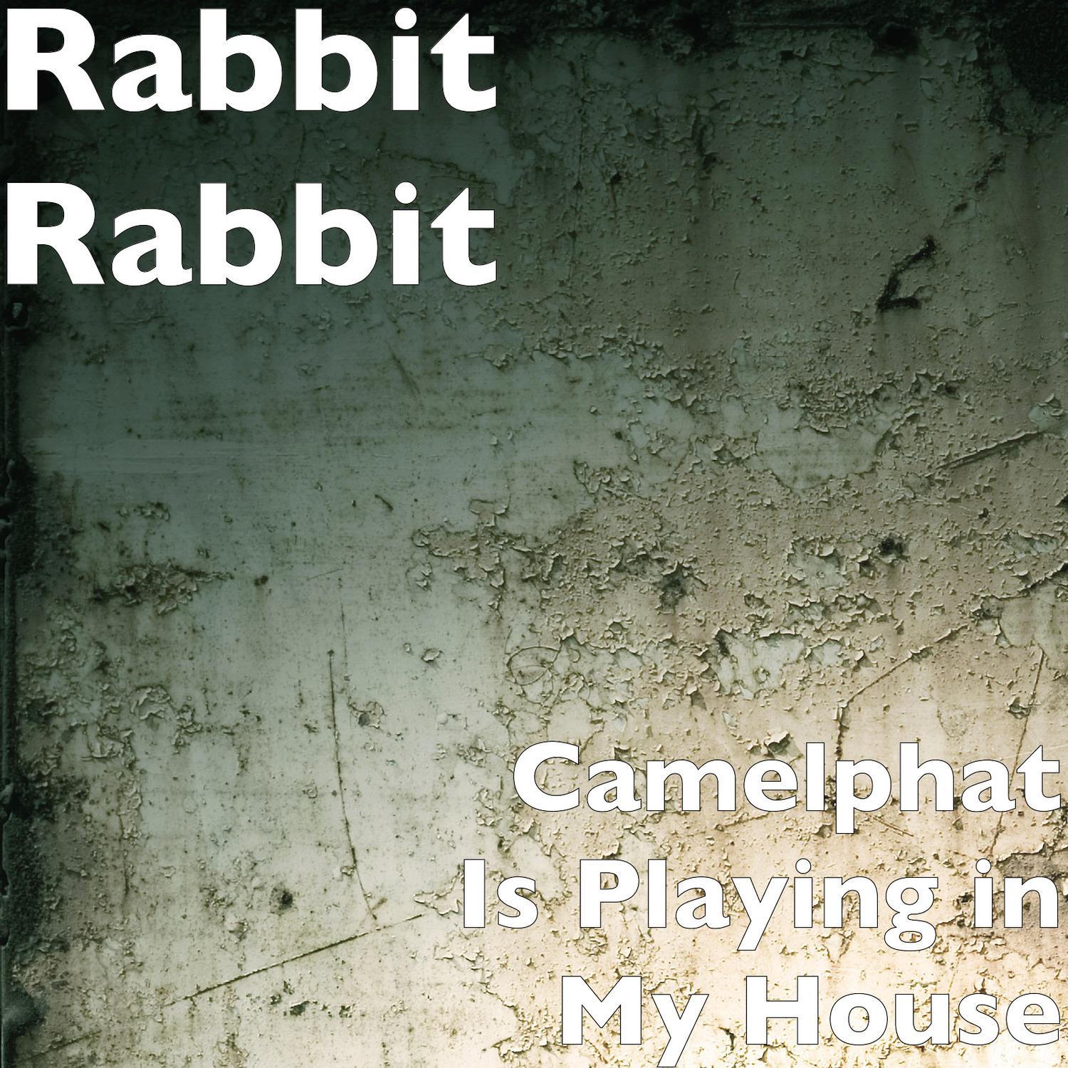 Camelphat Is Playing in My House