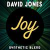 David Jones - Digital Grabs (Original Mix)