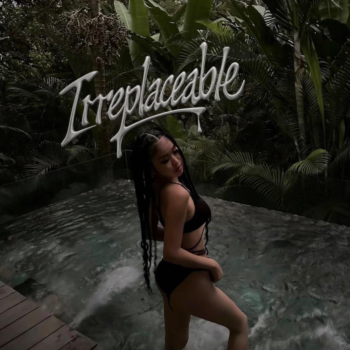 代替 Irreplaceable