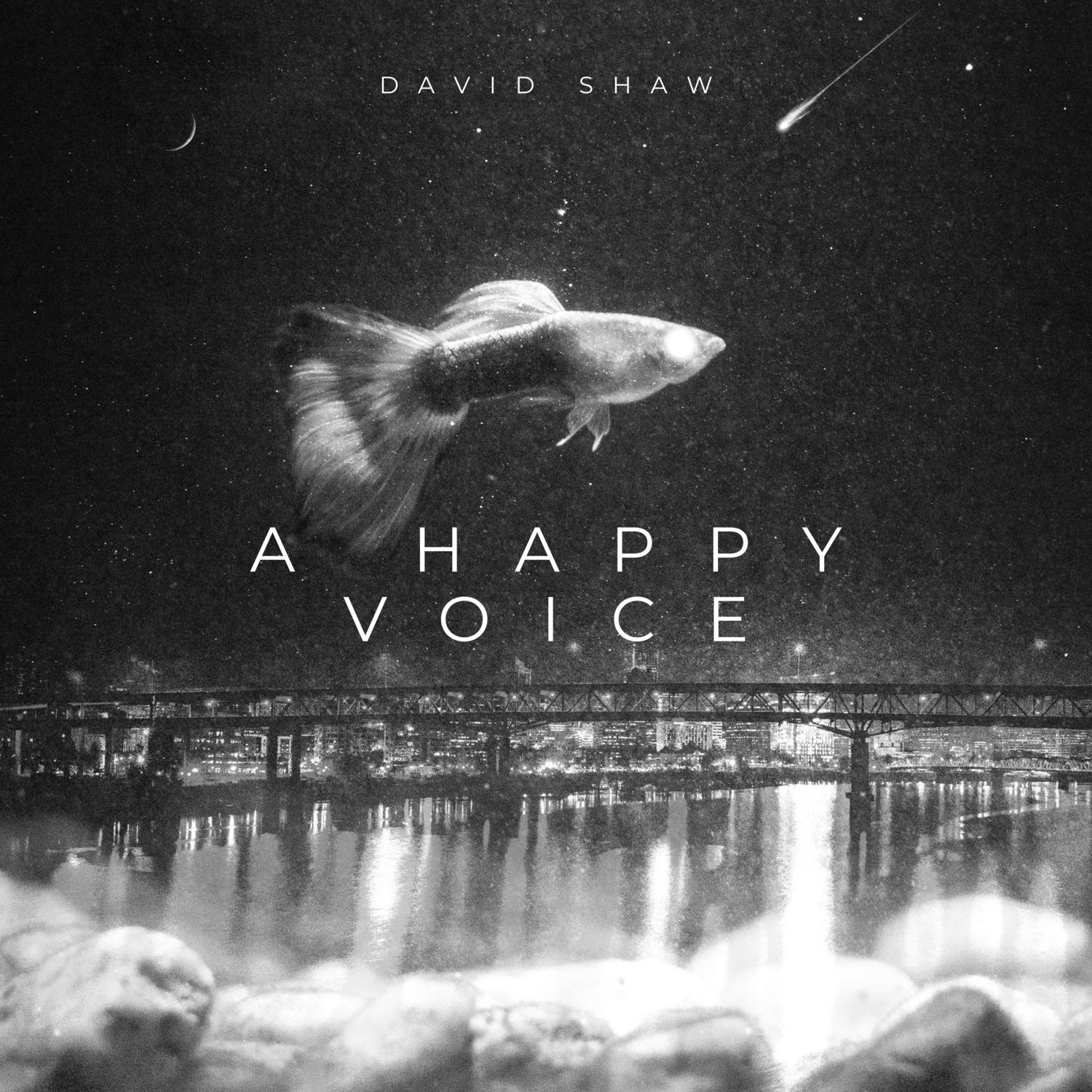 David Shaw - Time of Bass