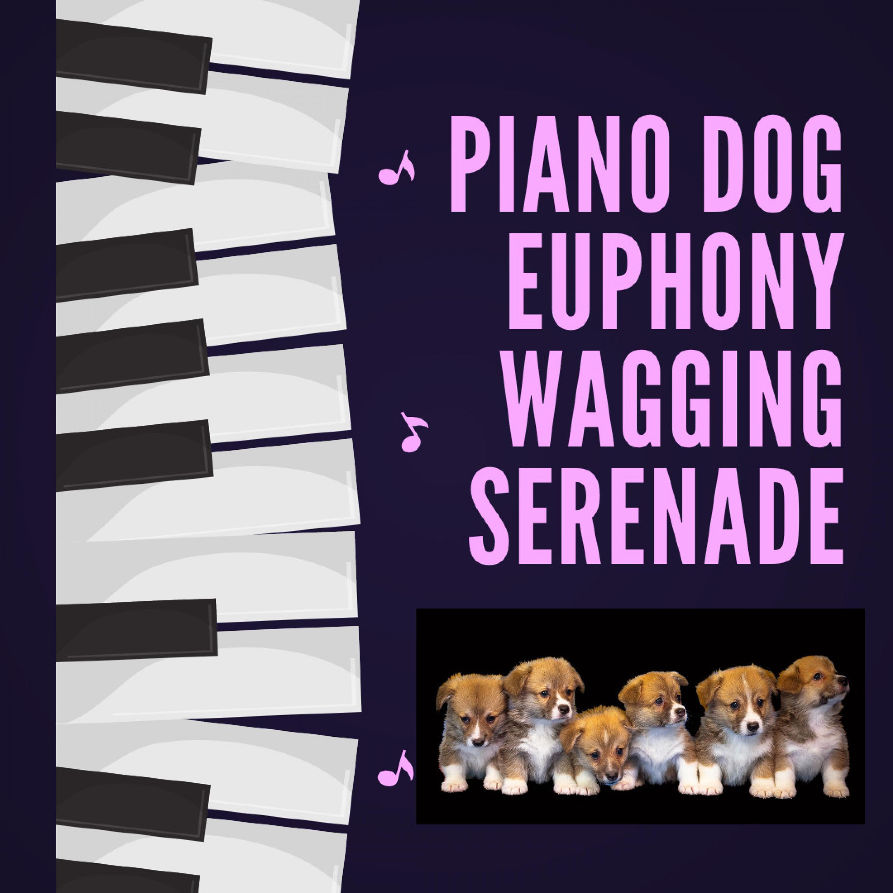 Piano Music - Wagging Cadence: Piano's Dog Euphony