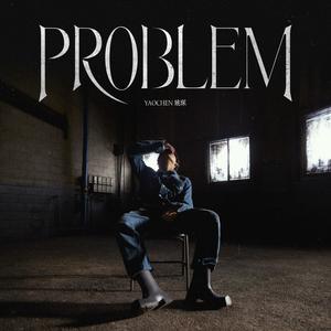 姚琛 - Problem