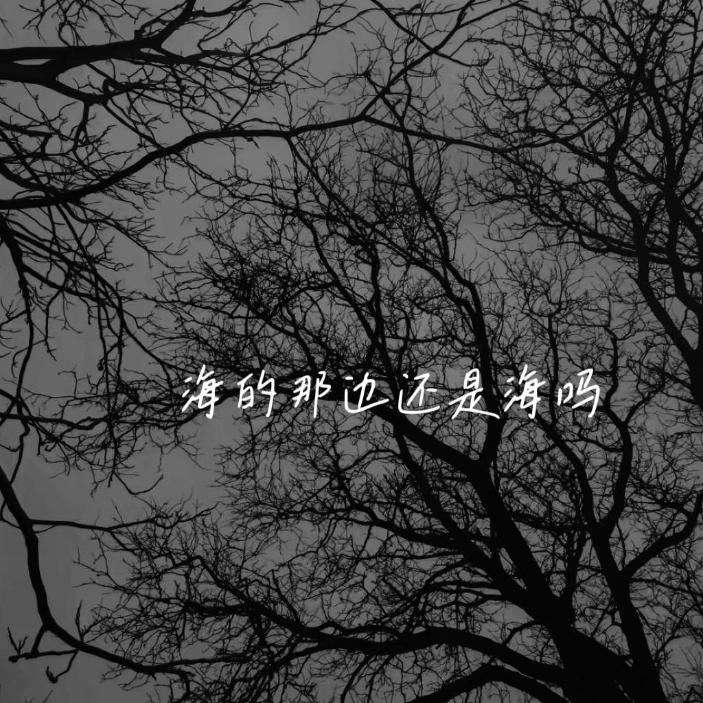 小瑞歌曲封面