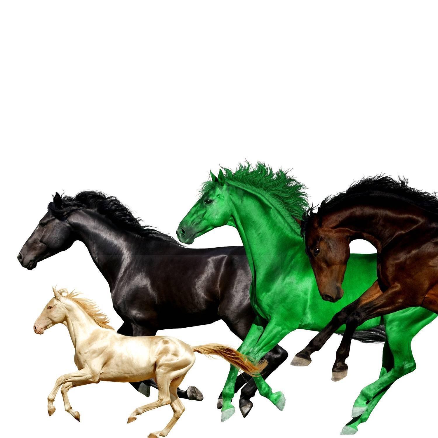 Old Town Road 各版本合集(万马奔腾[滑稽])