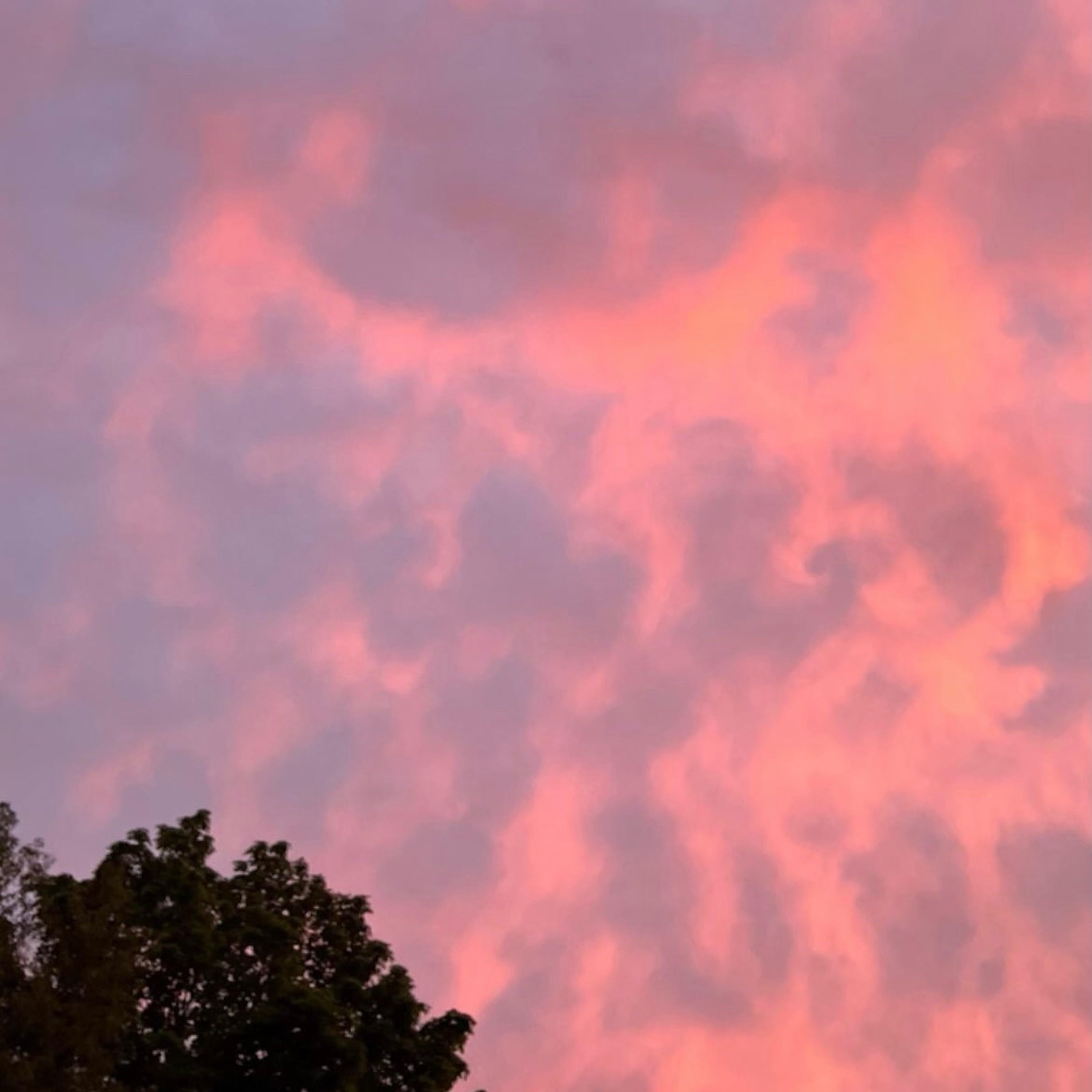 Cotton Candy