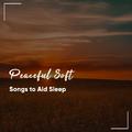 #12 Peaceful Soft Songs to Aid Sleep