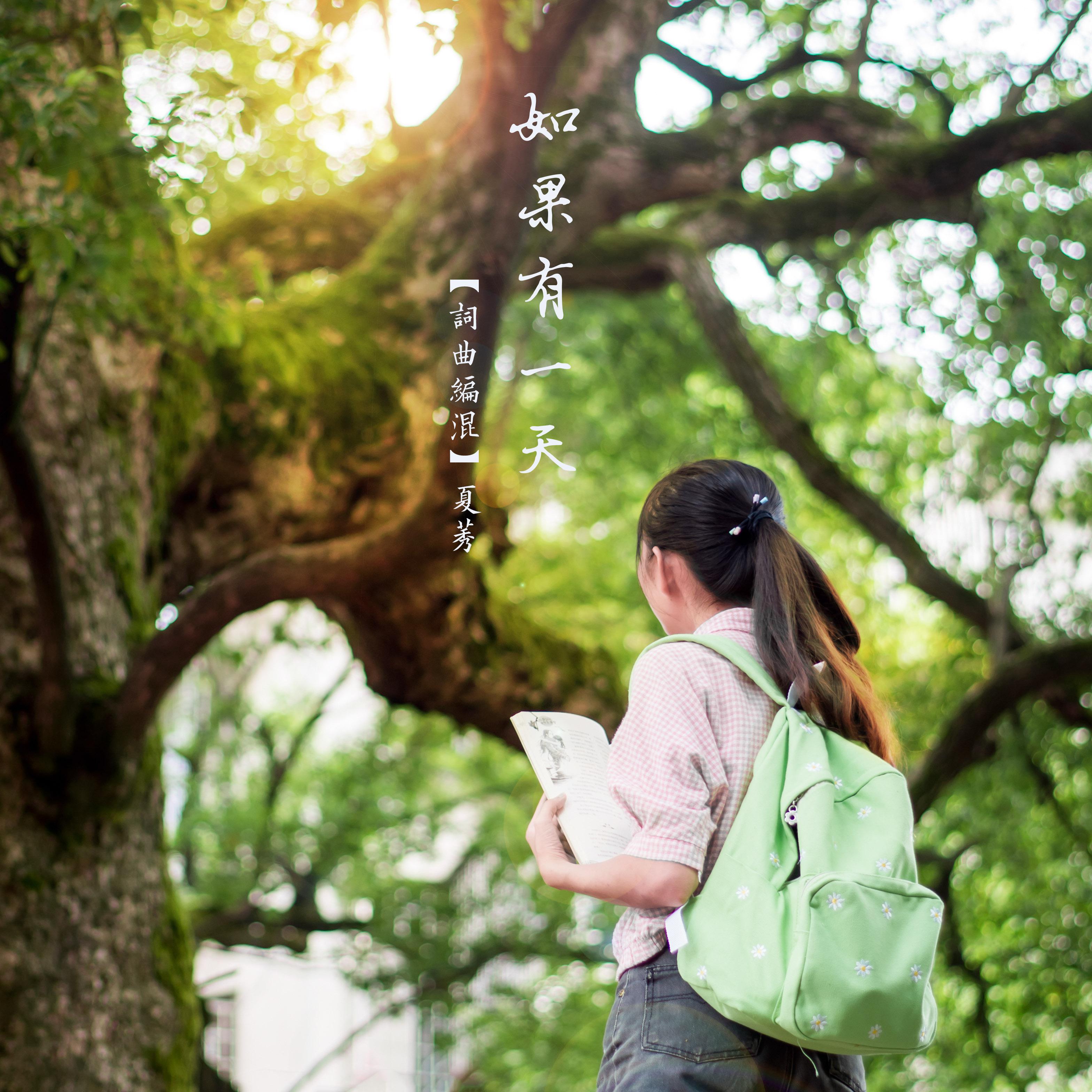 如果有一天（告别）专辑