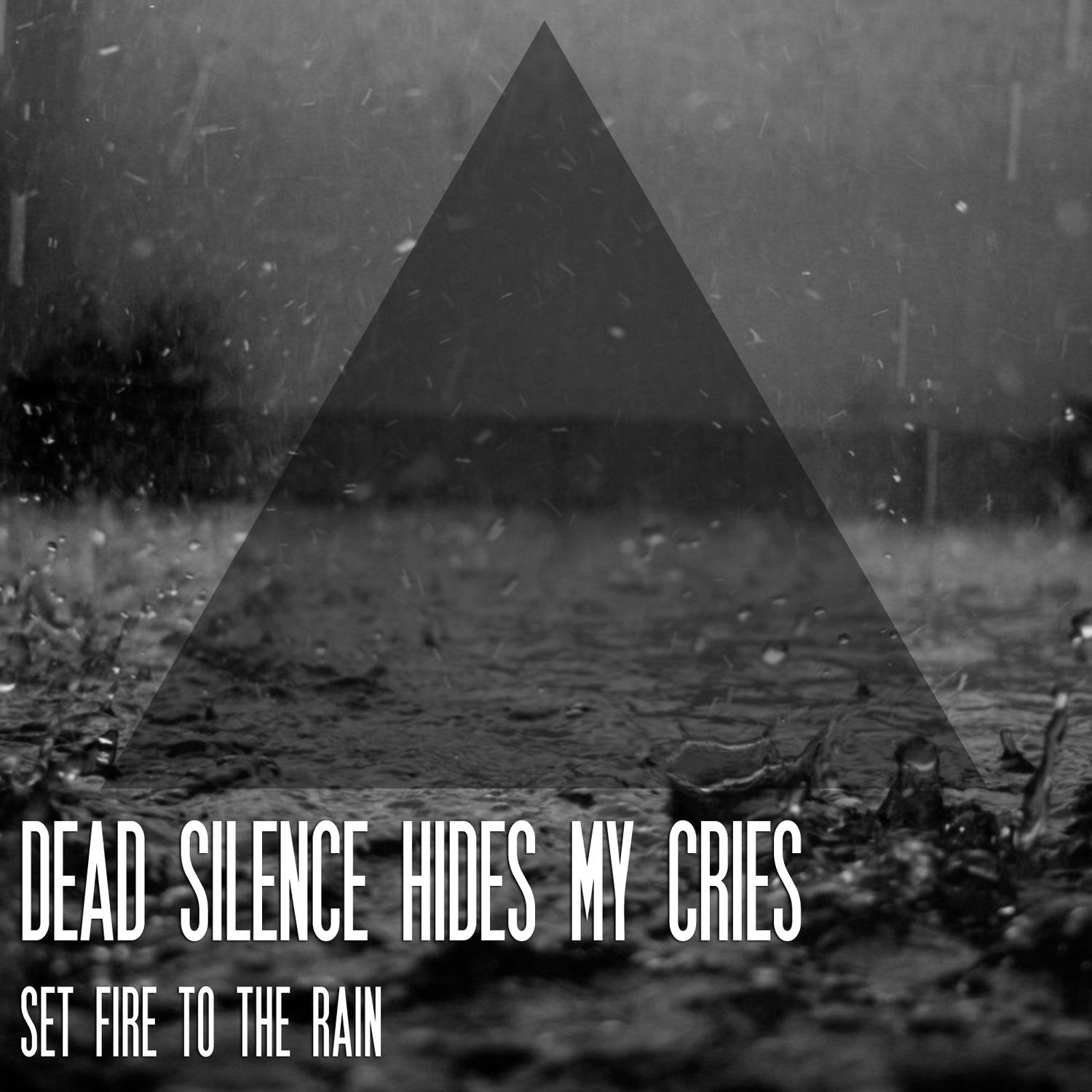 Set Fire to the Rain (Cover)