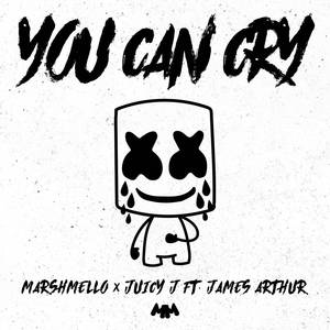 Juicy J、Marshmello - You Can Cry （升1半音）