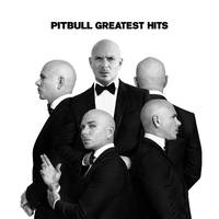 Pitbull - Hotel Room Service