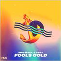 Fools Gold专辑