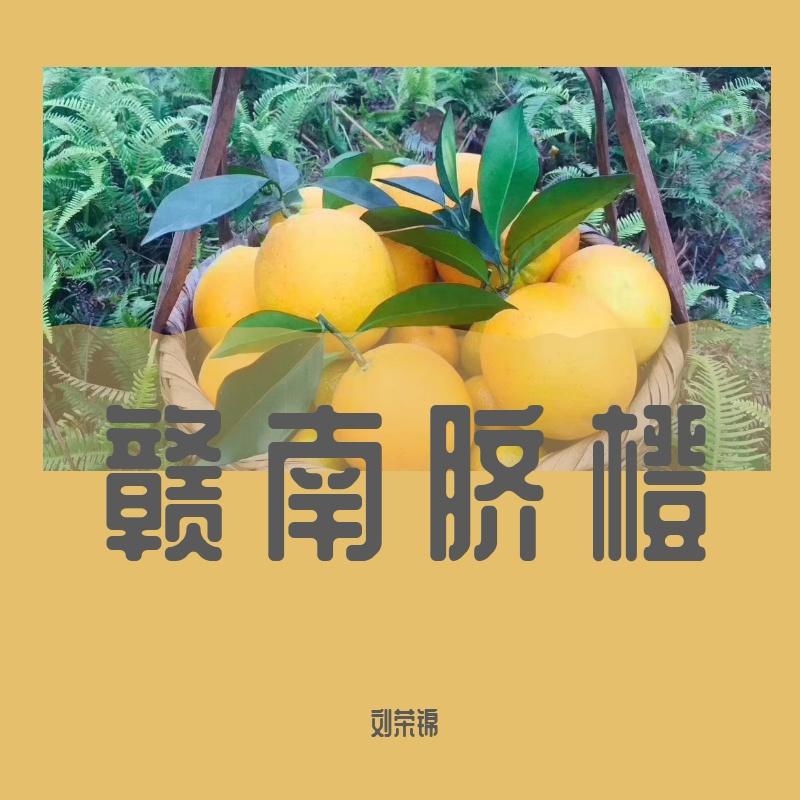 赣南脐橙