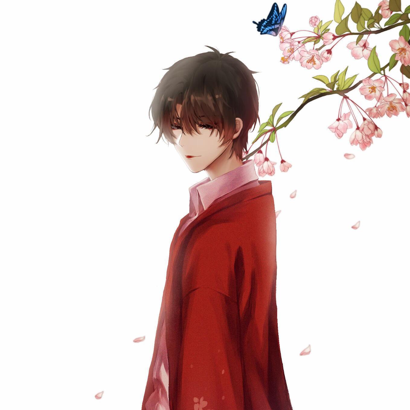 青年与海棠 伴奏