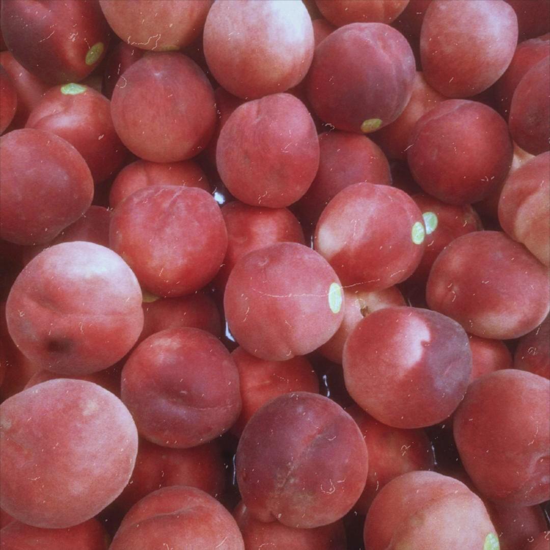 Peaches（翻自 Justin Bieber）